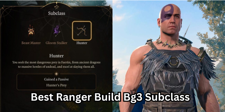 Best Ranger Build Bg3 Subclass | Gamerglen.com