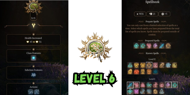 level 6 Best Halsin Build Bg3 | Gamerglen.com