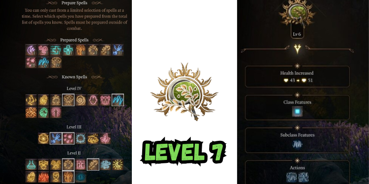 level 7 Best Halsin Build Bg3 | Gamerglen.com