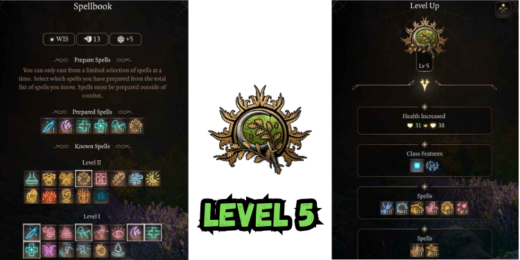 level 5 Best Bg3 Druid Build spells | Gamerglen.com