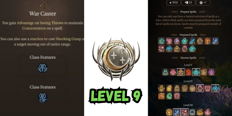 level 9 Best Jaheira Build Bg3 | Gamerglen.com