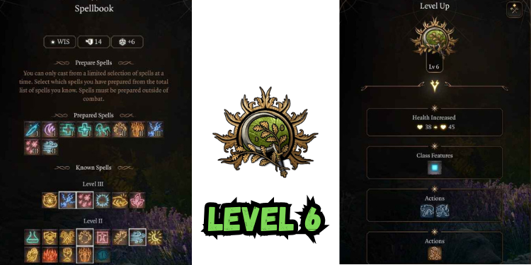 level 6 Best Bg3 Druid Build spells | Gamerglen.com