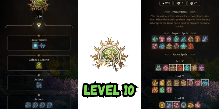 level 10 Best Halsin Build Bg3 | Gamerglen.com