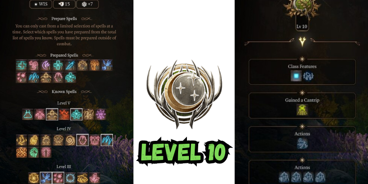 level 10 Best Jaheira Build Bg3 | Gamerglen.com