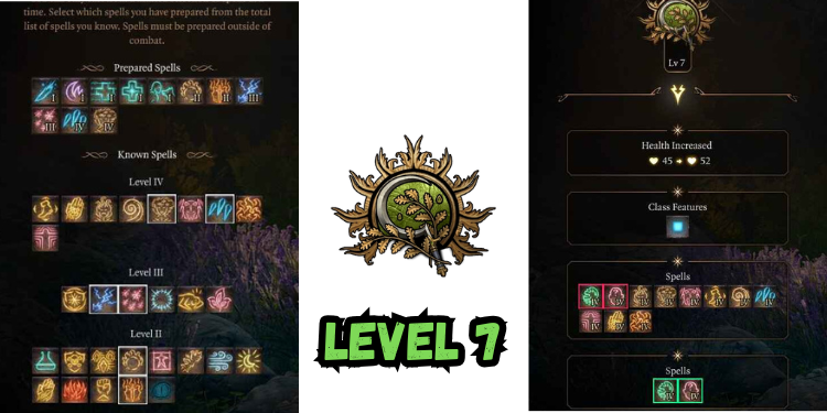 level 7 Best Bg3 Druid Build spells | Gamerglen.com