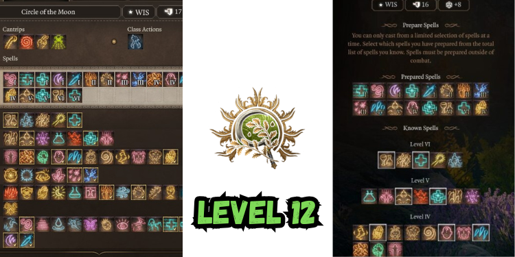 level 12 Best Halsin Build Bg3 | Gamerglen.com