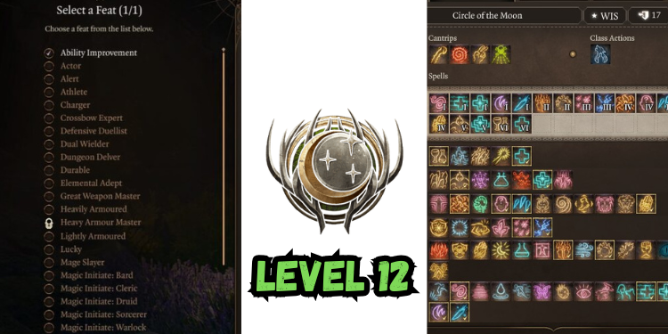 level 12 Best Jaheira Build Bg3 | Gamerglen.com