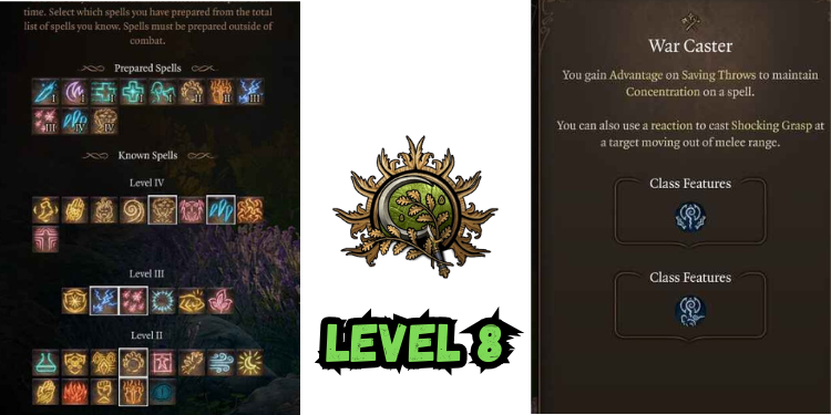 level 8 Best Bg3 Druid Build spells | Gamerglen.com