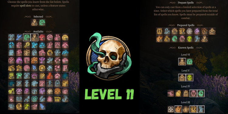 level 11 Best Bg3 Necromancer Build spells | Gamerglen.com