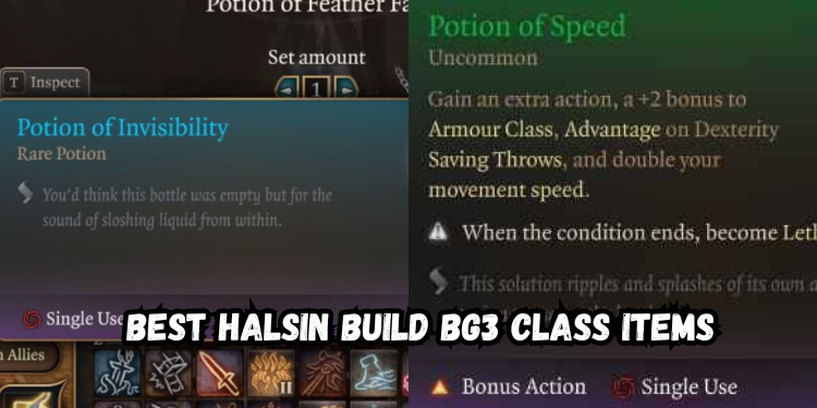 Best Halsin Build Bg3 Class Items | Gamerglen.com