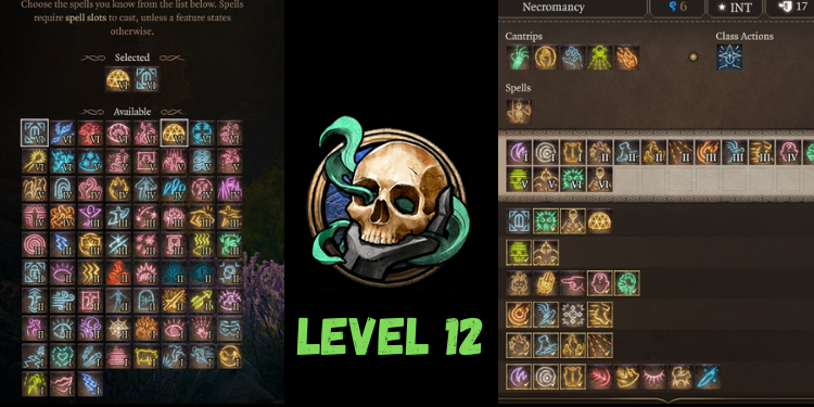 level 12 Best Bg3 Necromancer Build spells | Gamerglen.com