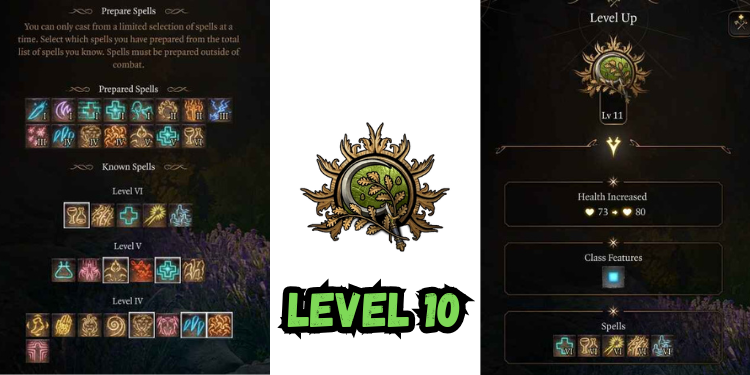 level 10 Best Bg3 Druid Build spells | Gamerglen.com