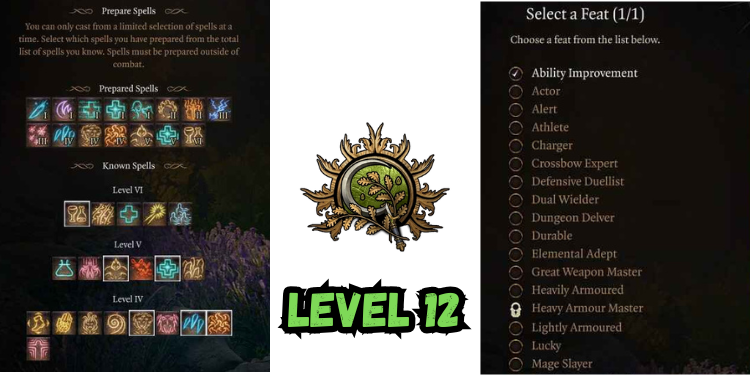 level 12 Best Bg3 Druid Build spells | Gamerglen.com