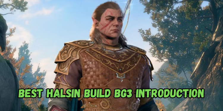 Best Halsin Build Bg3 Introduction | Gamerglen.com