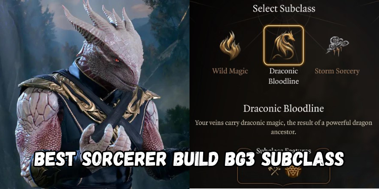 Best Sorcerer Build Bg3 Subclass | Gamerglen.com