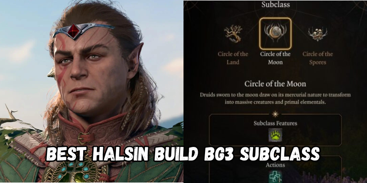 Best Halsin Build Bg3 Subclass | Gamerglen.com