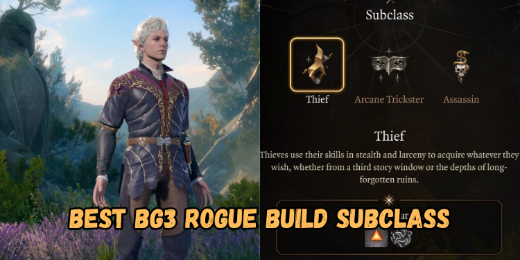 Best Bg3 Rogue Build Subclass | Gamerglen.com