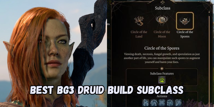 Best Bg3 Druid Build Subclass | Gamerglen.com