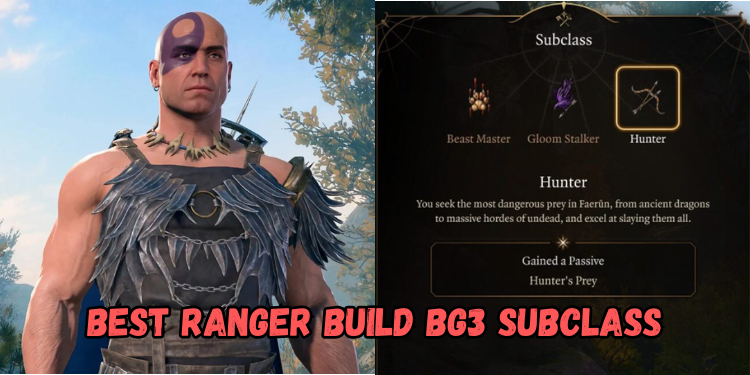 Best Ranger Build Bg3 Subclass | Gamerglen.com