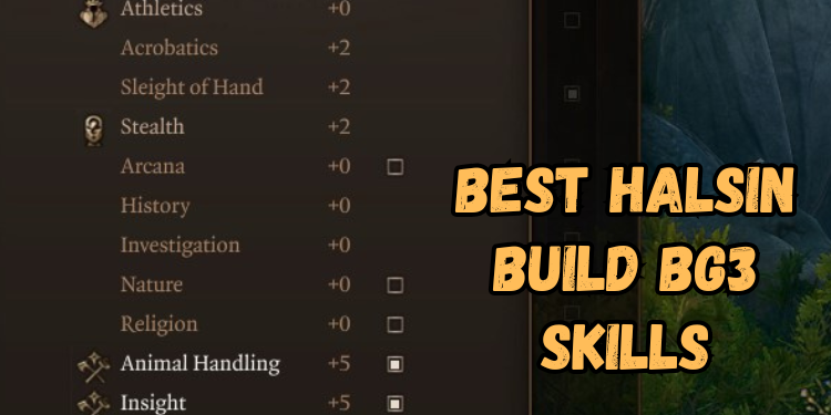 Best Halsin Build Bg3 Recommended Skills | Gamerglen.com