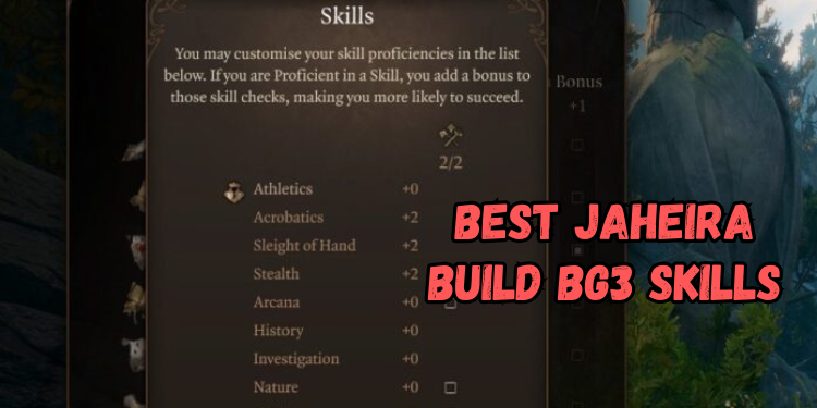 Best Jaheira Build Bg3 Recommended Skills | Gamerglen.com