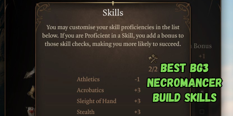 Best Bg3 Necromancer Build Recommended Skills | Gamerglen.com