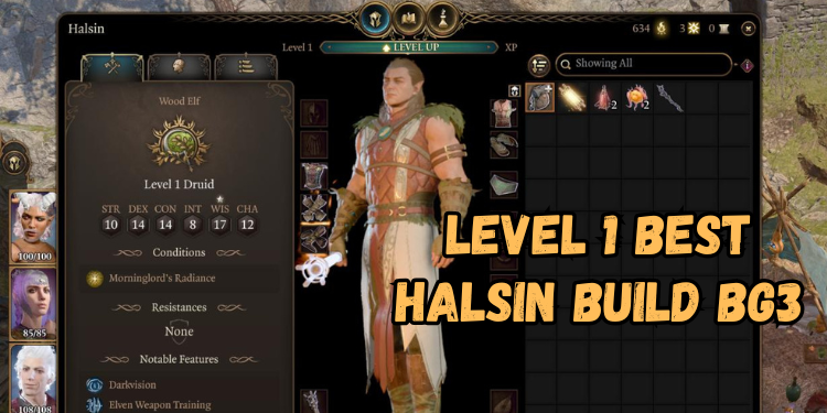 level 1 Best Halsin Build Bg3 | Gamerglen.com