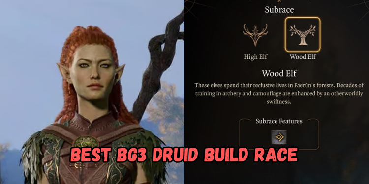 Best Bg3 Druid Build Race | Gamerglen.com