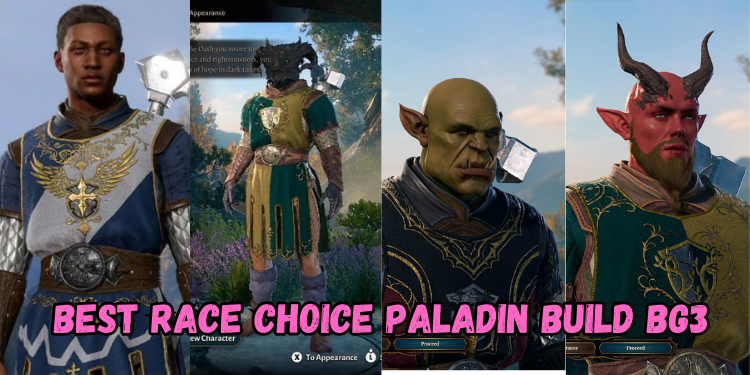 Best Race Choice Paladin Build Bg3 | Gamerglen.com