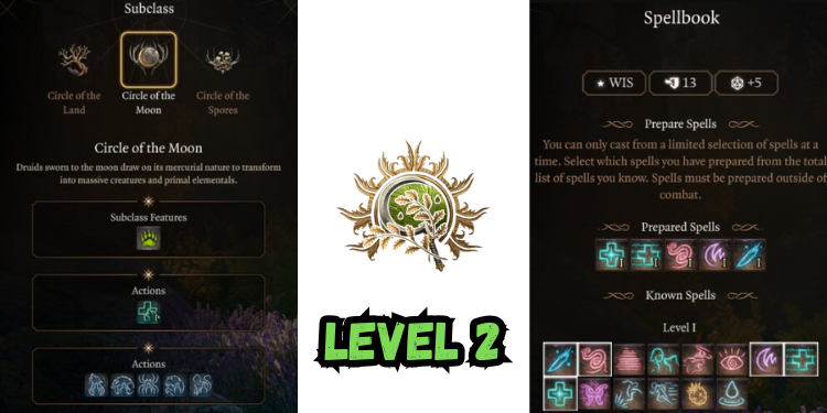 level 2 Best Halsin Build Bg3 | Gamerglen.com