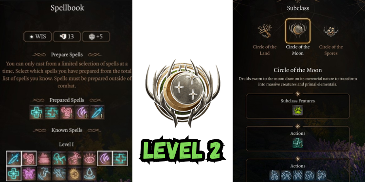 level 2 Best Jaheira Build Bg3 | Gamerglen.com