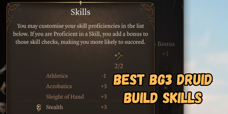 Best Bg3 Druid Build Recommended Skills | Gamerglen.com