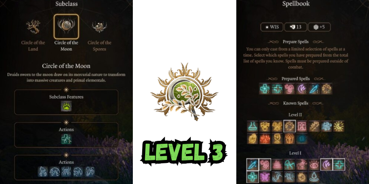 level 3 Best Halsin Build Bg3 | Gamerglen.com