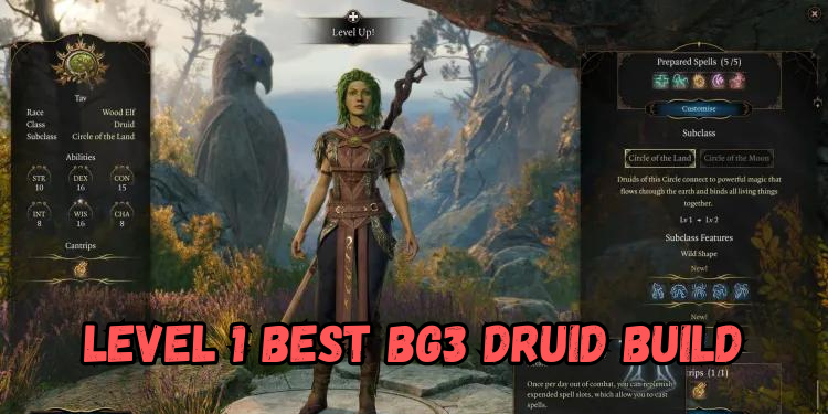 level 1 Best Bg3 Druid Build | Gamerglen.com