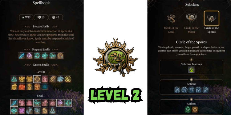 level 2 Best Bg3 Druid Build spells | Gamerglen.com