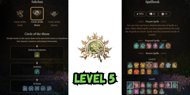 level 5 Best Halsin Build Bg3 | Gamerglen.com