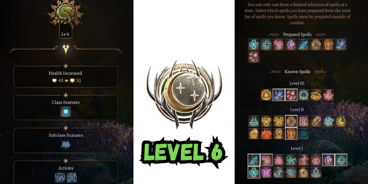 level 6 Best Jaheira Build Bg3 | Gamerglen.com