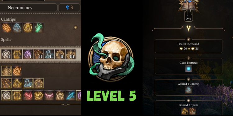 level 5 Best Bg3 Necromancer Build spells | Gamerglen.com