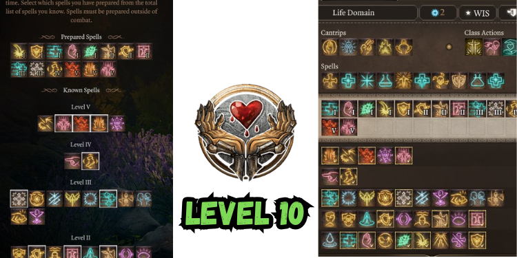 level 10 Best Bg3 Shadowheart Build spells | Gamerglen.com