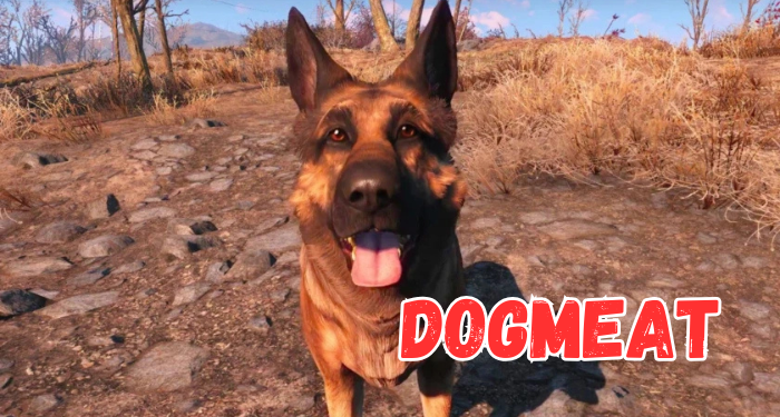 Dogmeat Fallout 4 Companion | Gamerglen.com